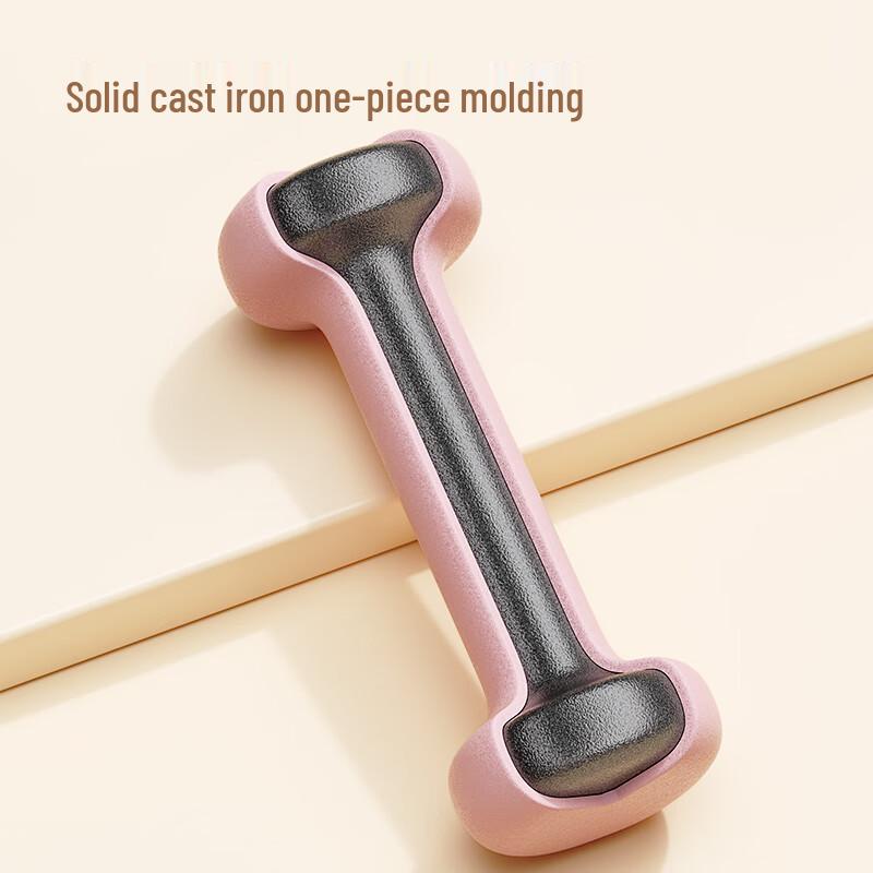 Jingdong Dip-Coated Cast Iron Dumbbells