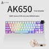 Ajazz AK650 66-Key Tri-Mode Hot-Swappable Gasket Barebones Mechanical Keyboard