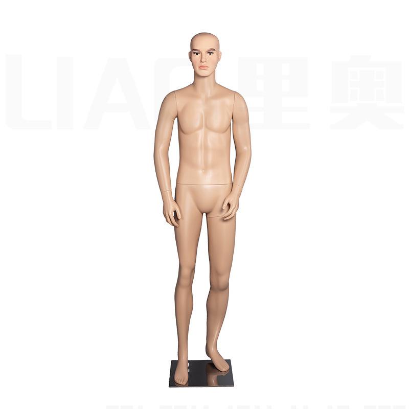 Male Full Body Mannequin for Clothing Display - Plastic Model Prop with Skin Tone