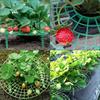 5sets High-Quality Strawberry & Small Vegetable Plant Stand/ Bed - Elevated Fruit Production with Harvestable Berries, Space-Saving Design Suitable