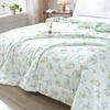 Hongdou 7A Antibacterial Washed Cotton Summer Quilt