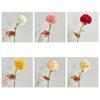 Artificial Carnations For Mother'S Day, Teacher'S Day, Bedroom, Living Room Decorations, Floral Arrangements, And Photo Props.