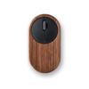 Periferice pentru calculatoare – Mouse-uri