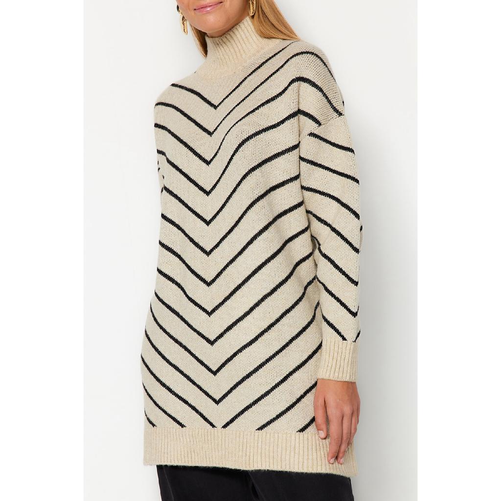 Stein Gestreifter Rollkragen Strickwaren Pullover Tctaw24ak00101