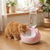 Non-Slip Cat Gravity Water Dispenser Large Capacity Pet Drinking Station  Daily Drinking