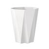 Large Plastic Flower Pot for Bonsai & Indoor Plants - Money Tree, Dragon Blood Tree, Bird of Paradise