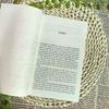 The Lean Startup Englisches Buch Lean Startup Methodik Management Works Original Englische Bücher Libros Livros