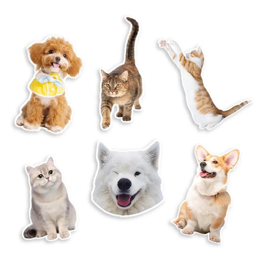 

Custom Magnets for Fridge Personalized Acrylic Shaped Refrigerator Magnet with Photo Pet Portrait Waterproof Fridge Home De R3U5