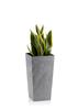 Donica Porto Szary Beton H46X25X25 Cm