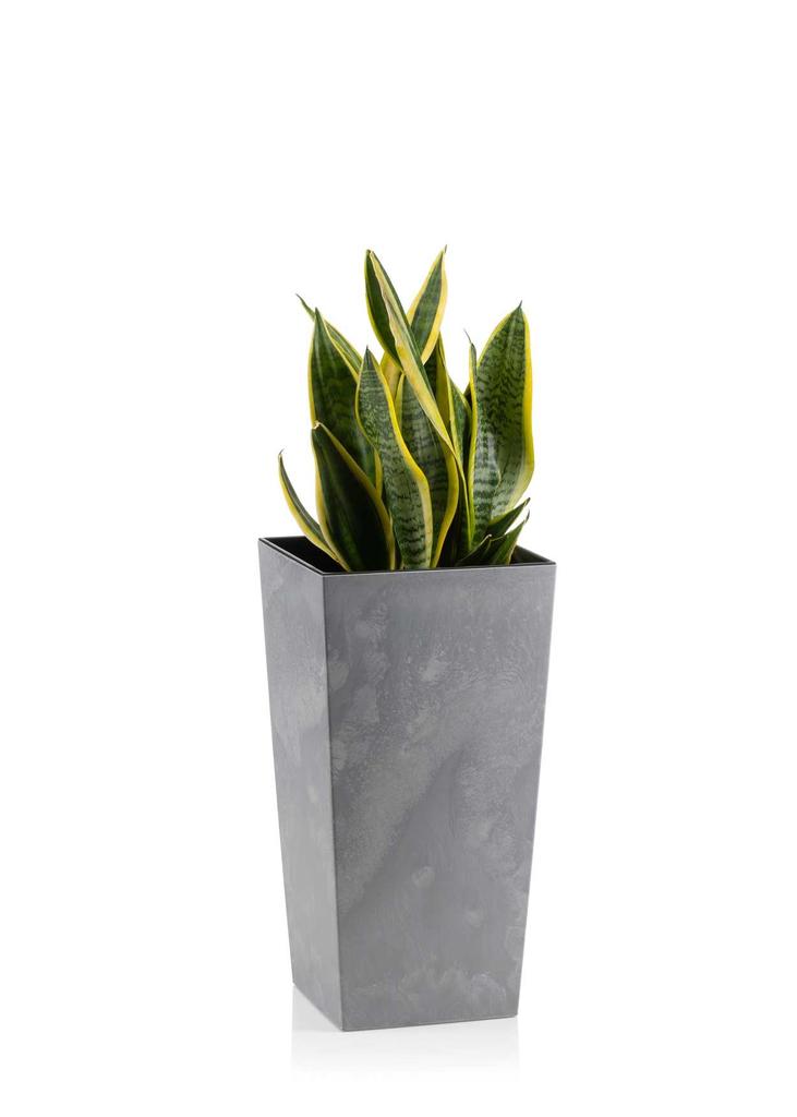 Donica Porto Szary Beton H46X25X25 Cm