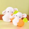 Cute Bunny Plush Toy Kawaii Fluffy Rabbit Hold Carrot Toy Children's Sleeping Doll Lovely Throw Pillow Gifts Home Decor