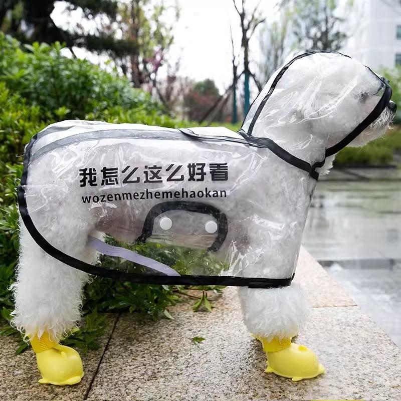 Puppy dog raincoat spring teddy bear special small dog rainy day out clothes poncho waterproof pet clothing