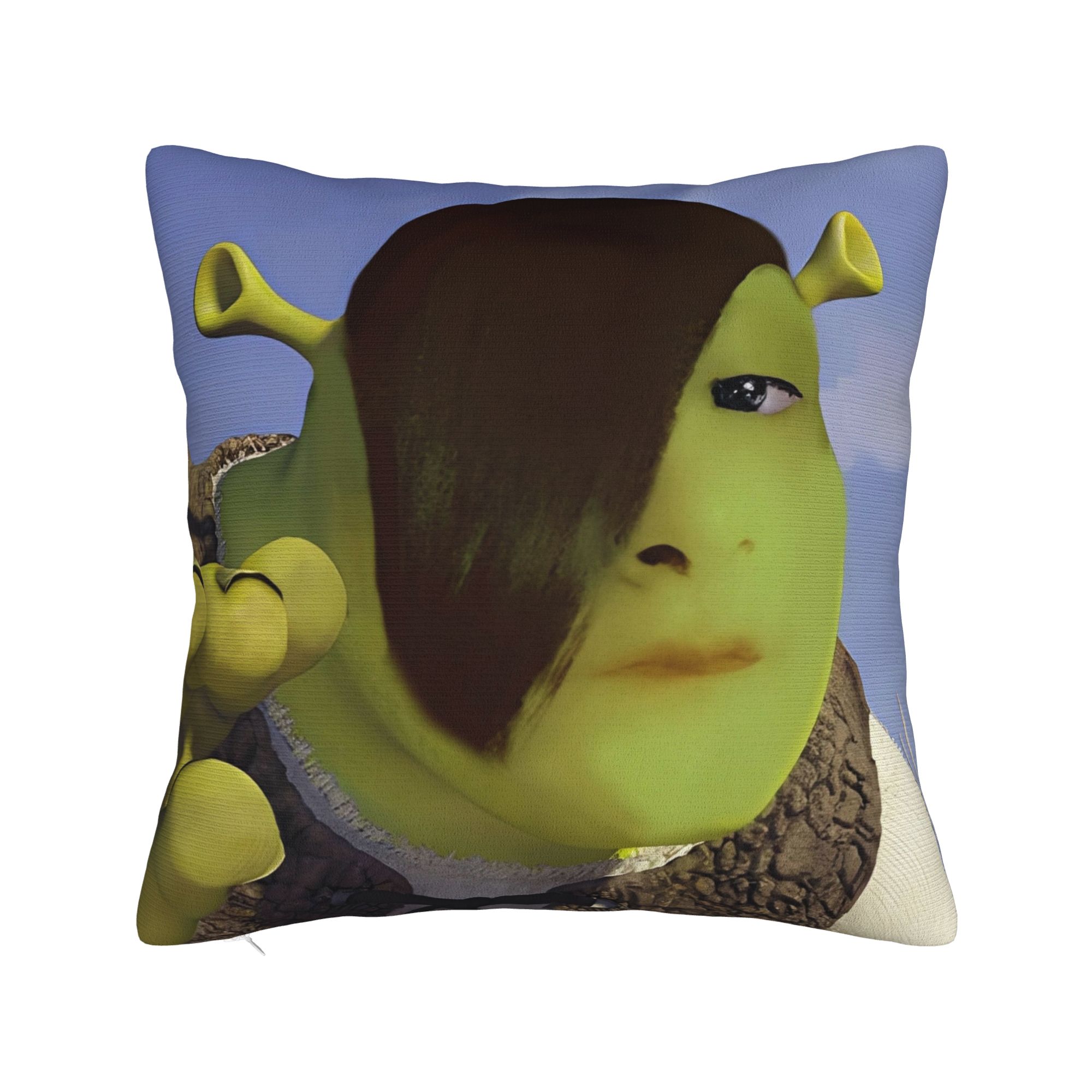 

Наволочки з жартами Шрека Модна наволочка для офісу, автомобіля, дому Декор Наволочка з принтом 12x12Inch