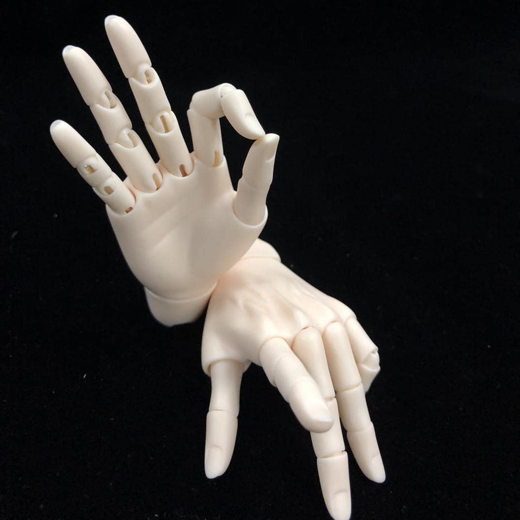 P Prettyia Hand Flexible Male Doll Hand Model Doll Making 2 Colors Normal Skin 15-joint 1/3BJD -