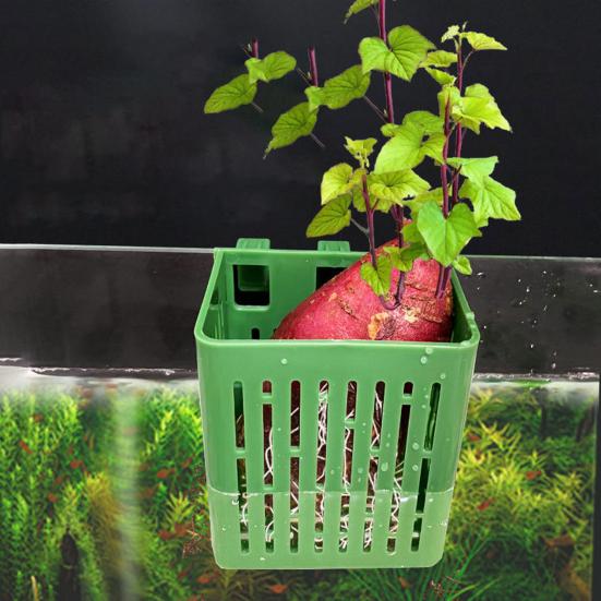 Pflanzenhalter für Aquarien, hitzebeständig, Hydrokulturkorb, Hängende Pflanzbecher für Aquarien mit Haken für Unterwasser-Wasserpflanzen