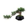 Simulation fake tree bonsai home living room Chinese sand table hotel porch landscaping decoration green plant ornaments