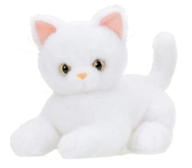 

Fluffy Dream Kitten Turkish Angora