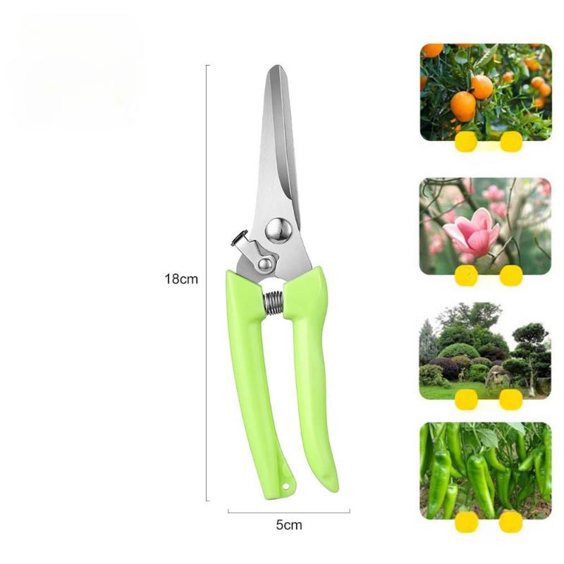 Beskjæringssaks Hagesaks Hage Albue Rett Hode Hage Plukking Fruktsaks Fjær Håndverktøy