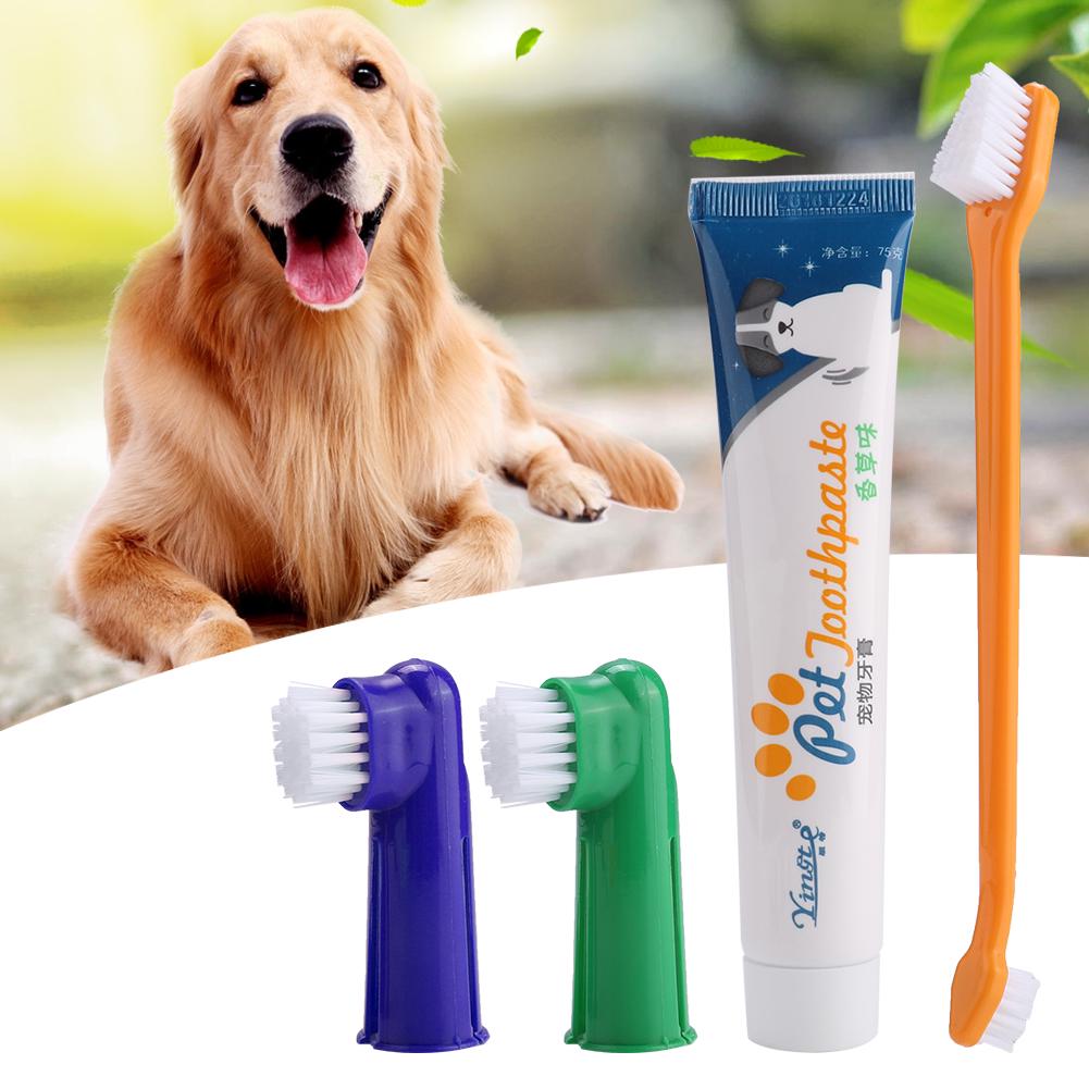 Buy 4Pcs Pet Dog Cat Toothbrush Toothpaste Set Dental Care Tool Dual Headed Toothbrush Finger