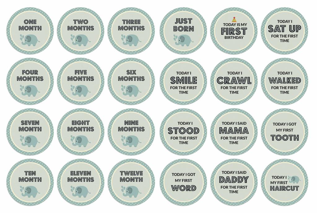 Inkdotpot 12 Month Baby  Milestone  Sticker  Boy Girl-Monthly  Milestone  Round  Stickers 24 Count