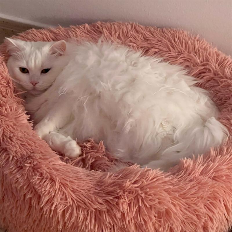 Super Soft Dog Bed Plush Cat Mat Dog Beds Round Cushion Pet Product Accessories Washable Dog and Cat Cushion Bed Winter Warm Sofa Hot Sell