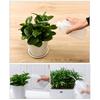 500ml Succulents Plant Watering Can Plastic Beak Squeezing Bottle with Scale