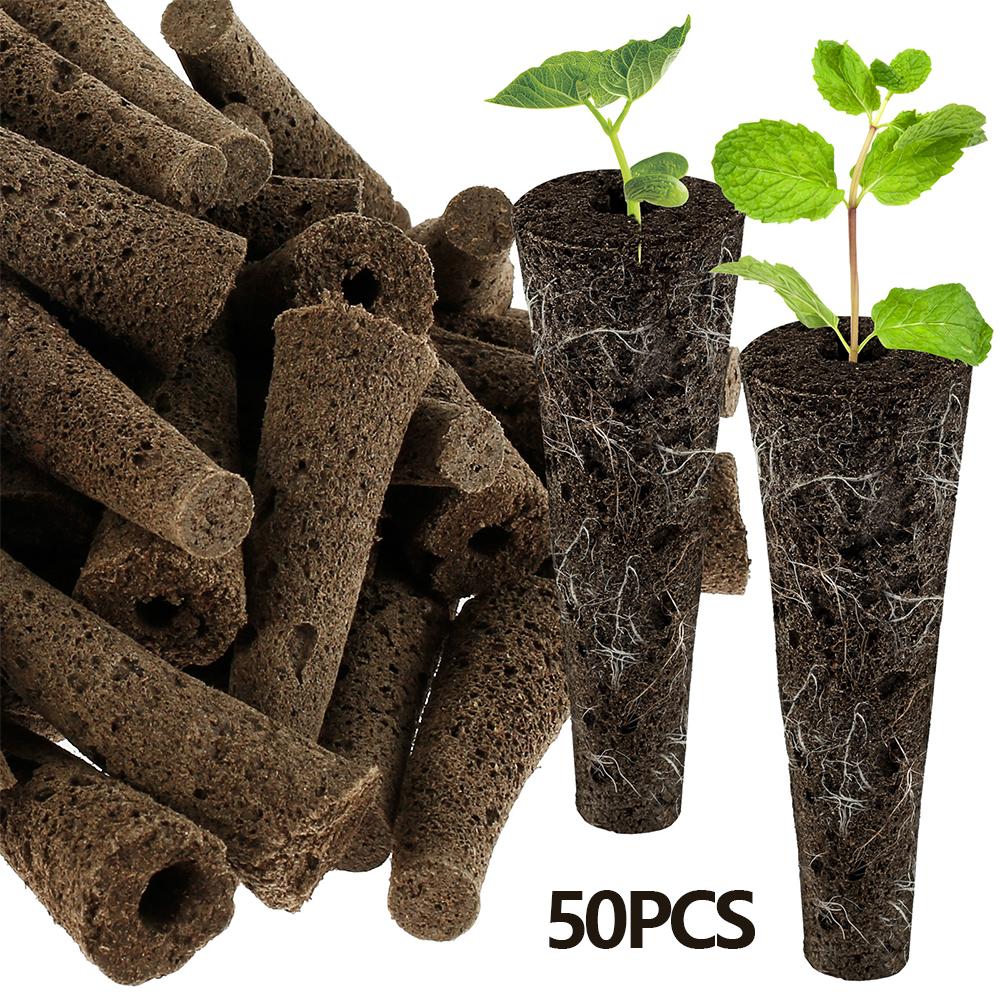 50 Stück Samen-Wachssponsoren Ersatz-Wurzelwachssponsoren Professionelles Samen-Starter-Kit Garten-Zubehör für Hydroponik-System