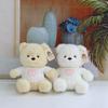 New Doll Bear Doll Plush Toy Children's Birthday Gift Girls Hug Bear Doll Teddy Bear Doll