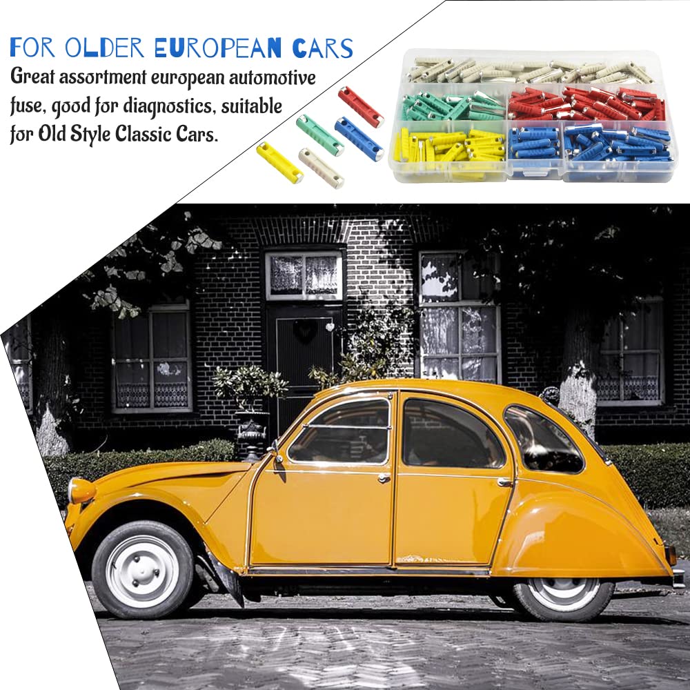 WMYCONGCONG European Auto Fuses 200 Pieces 5A 8A 10A 16A