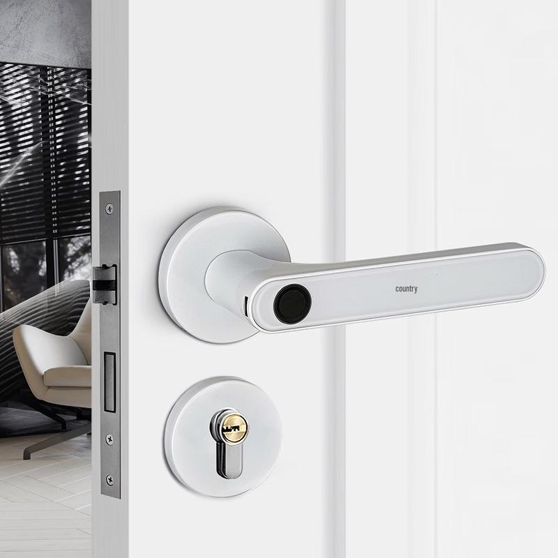 Pingo Smart FY07 Indoor Fingerprint Password Door Lock