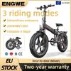 ENGWE EP-2BOOST Rower Elektryczny Silnik 250W Akumulator Litowo-jonowy 48V13Ah Składany Rower Elektryczny Terenowy Dla Dorosłych Opony Fat 20*4.0 Ebike