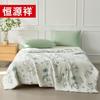 Hengyuanxiang Antibacterial Ice Peppermint Summer Quilt