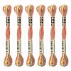 6 Skeins Embroidery Floss, Gradient Colors Polyester Embroidery Threads Bracelets String for Cross-Stitch Hand Embroidery