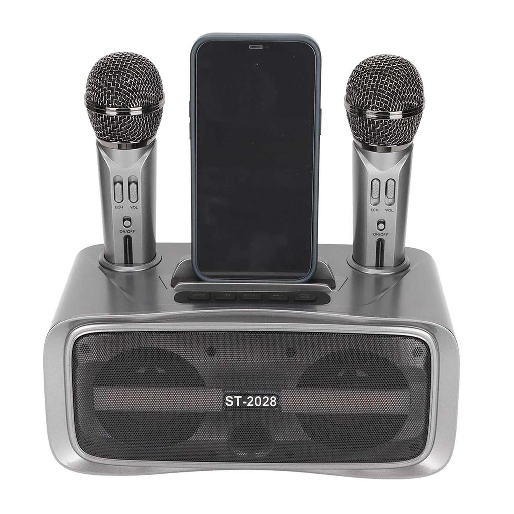 ST‑2028 Tragbares Karaoke-Lautsprechersystem Bluetooth-Karaoke-Maschine mit 2 Mikrofonen für Hochzeitsfeier