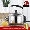 DuanYun Stainless Steel Electric Kettle