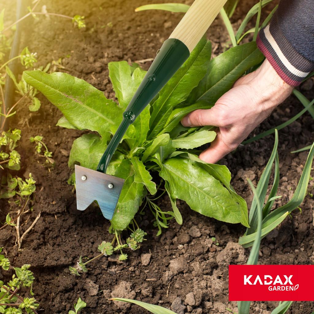 KADAX Dandelion Root Weed Cutter With Handle
