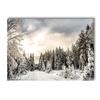 Zima Snow Tree Pine Nástěnný Umělecký plakát Obrazy sobů Obraz na plátně Dům Auto Plakáty Nordic Wall Pictures Dekor do obývacího pokoje