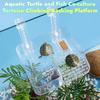 With Ramp Suction Cups Hanging Turtle Platform  Reptile Amphibian