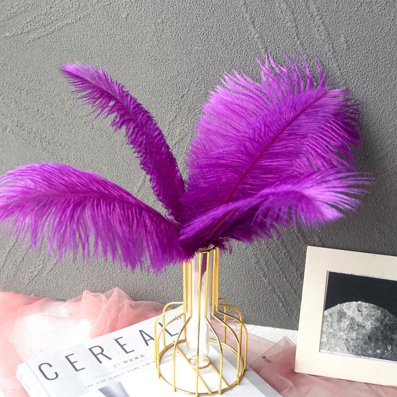 Color 20-25Cm Ostrich Hair Vase Ornament Wall Feather Decoration Hand Bouquet Flower Arrangement Diy Material