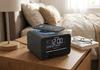 TechniSat CLASSIC 100 FM Portable Radio Battery