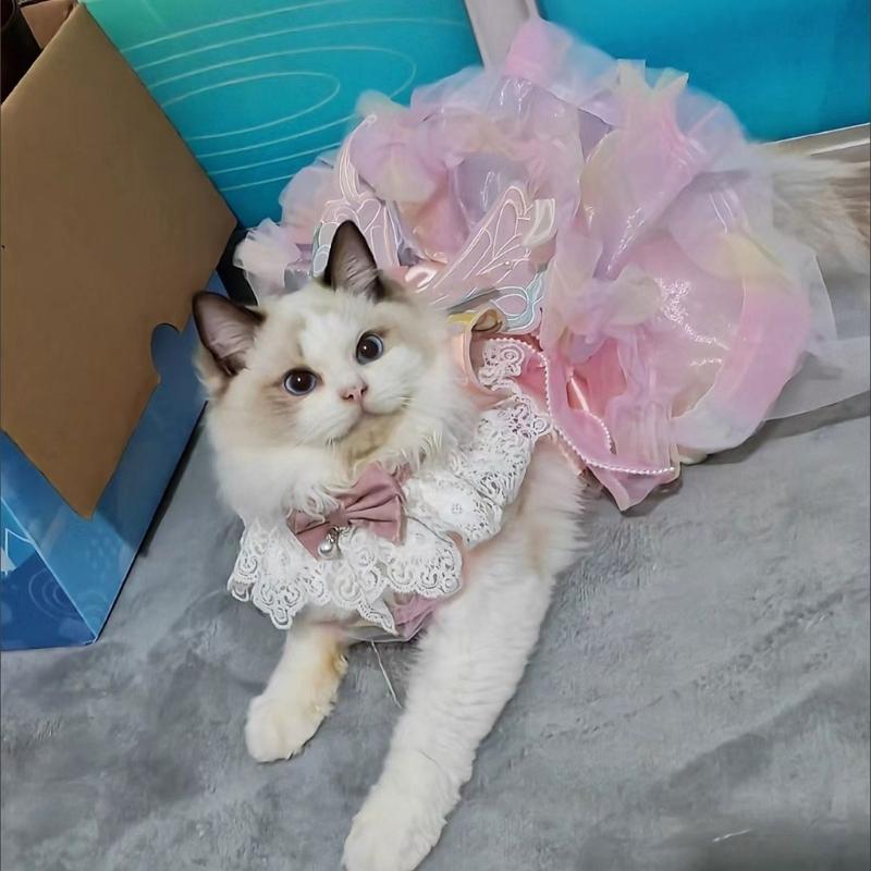 Pet Princess Gown for Cats and Small Dog Easy To Wear Butterfly Designs Cats Dress for Pet Birthdays and Photoshoots