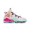 LeBron 19 'Valentine's Day' (Unisex) Multi-Color / Multi-Color Basketball Shoes DH8459 900