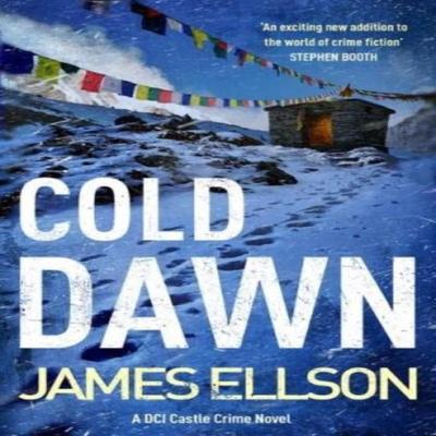 Cold Dawn by James Ellson Paperback Book 9781739442125