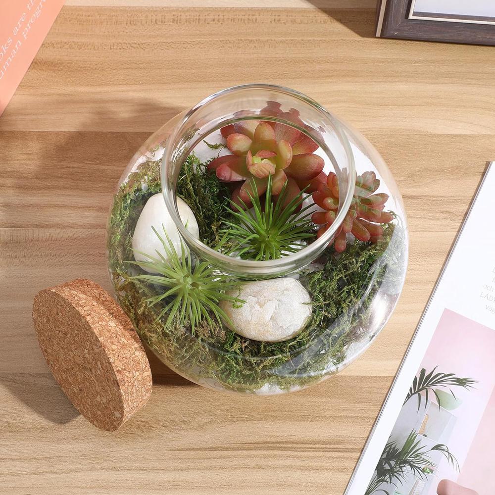 Glass Terrarium Jar with Cork Lid, 6x6.3 Inch Closed Terrarium for Succulent Moss and Fern DIY Miniature Desktop Garden for Home