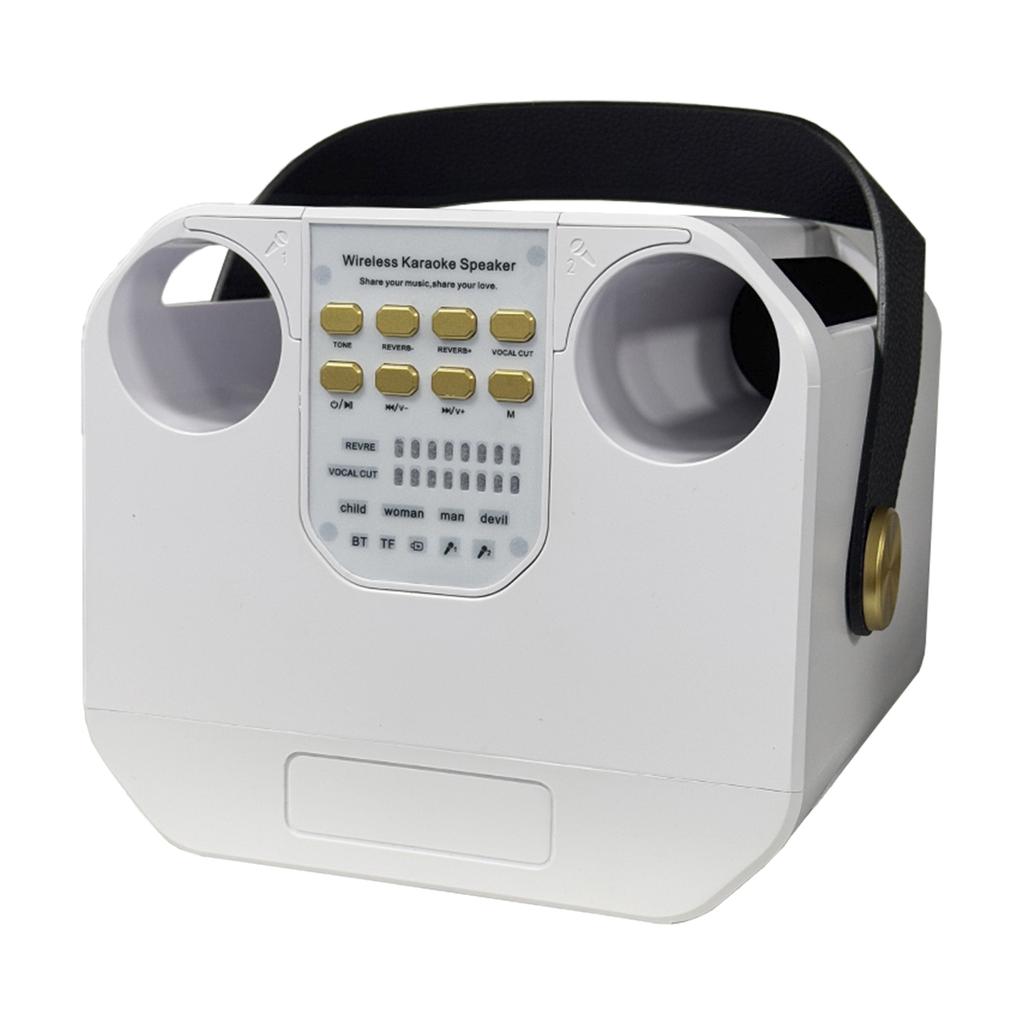 Wireless Bluetooth Speaker Dual Microphone Portable Karaoke Speaker Home Theater