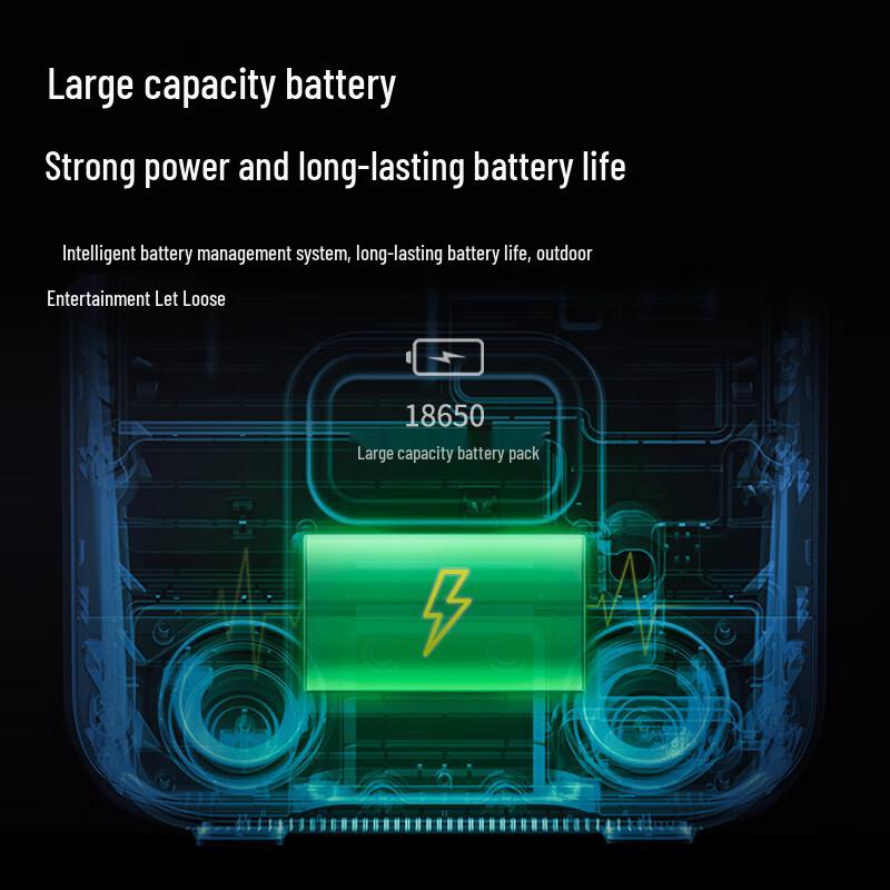 Newmine Portable Outdoor KTV Bluetooth Speaker