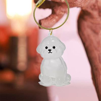 Capsula Ricordo Memoriale Capelli Cucciolo Trasparente Contenitore Pelo Cane Animale Domestico Ciondolo Portachiavi Decorazione Fai da Te Regali Espositore Casa Amanti Animali Domestici