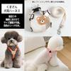 FUPUONE Dog Bear Small Dog Harness, Design, Leash, (Ivory, L)