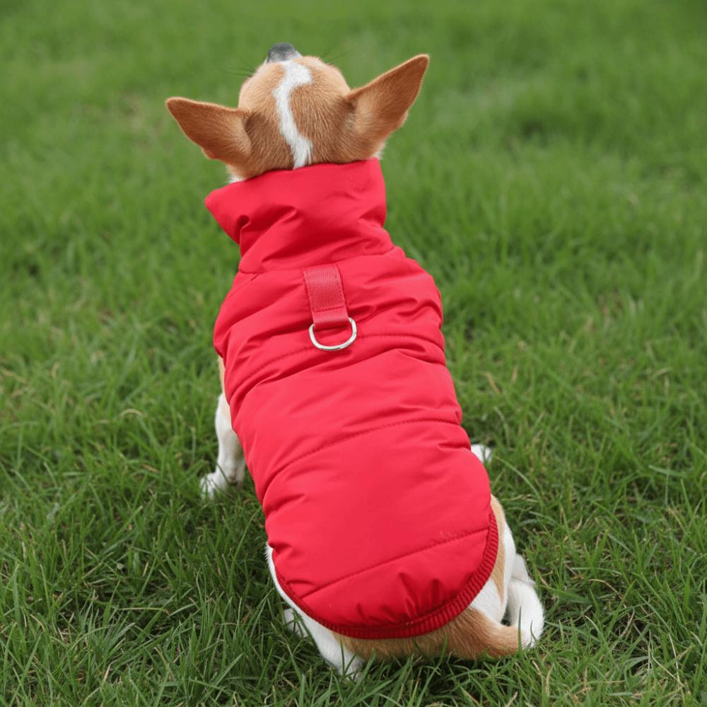 Durable Waterproof Winter Dog Coat Warm Fleece Dog Vest with D Shape Ring Thickened Dog Cotton Jacket Chihuahua