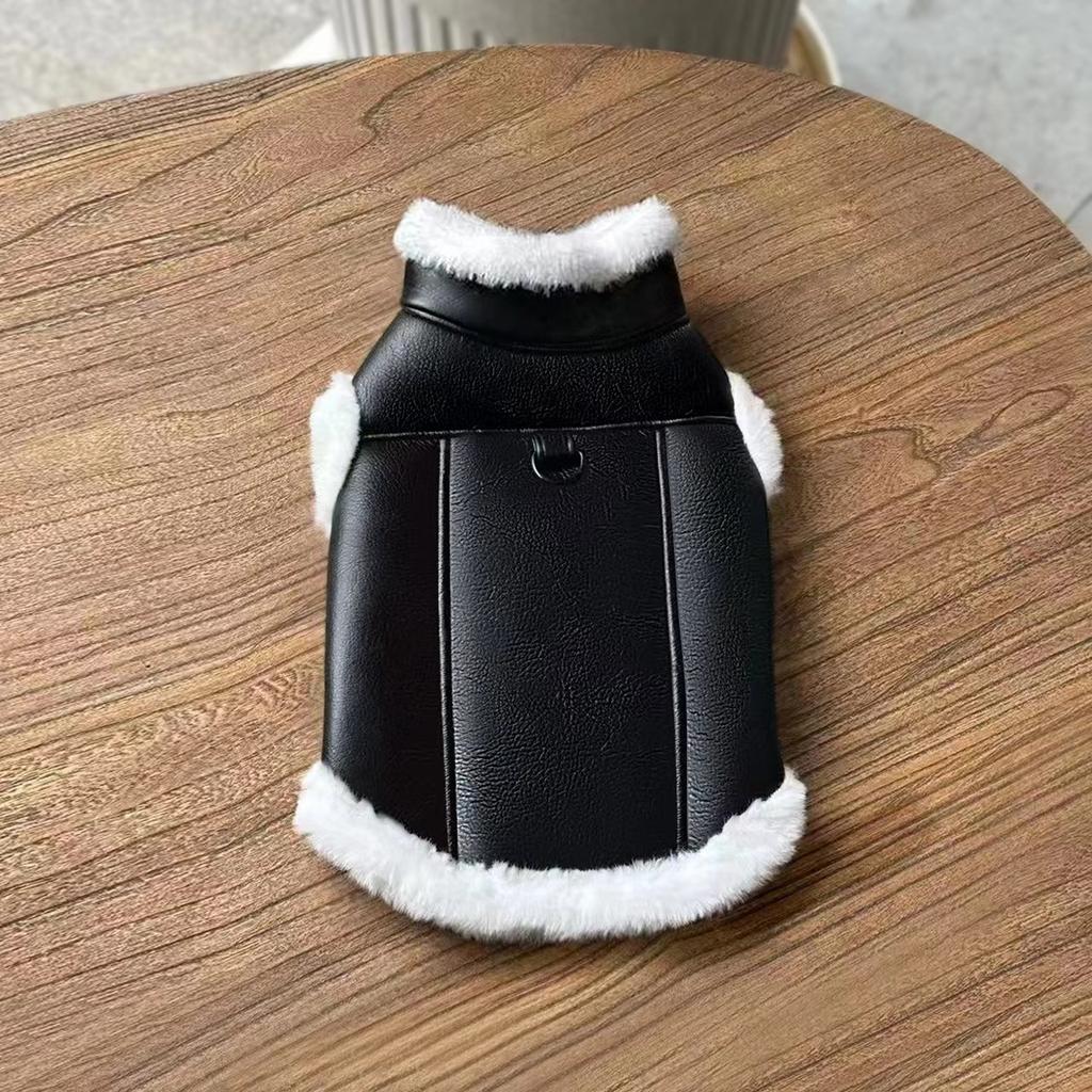 New Fall/winter Pet Clothing Jacket - Falcon Leather Coat with Added Insulation for Warmth. Pet Clothing for Cats and Dogs, Including Accessories.